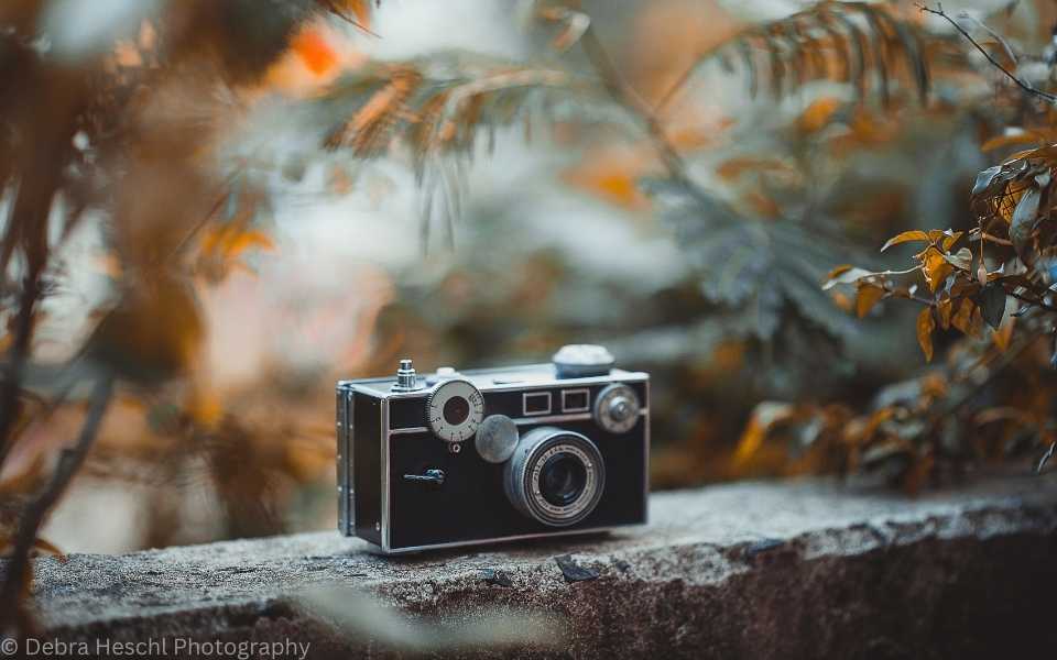 A vintage camera sitting on a stone wall with colors of Fall.