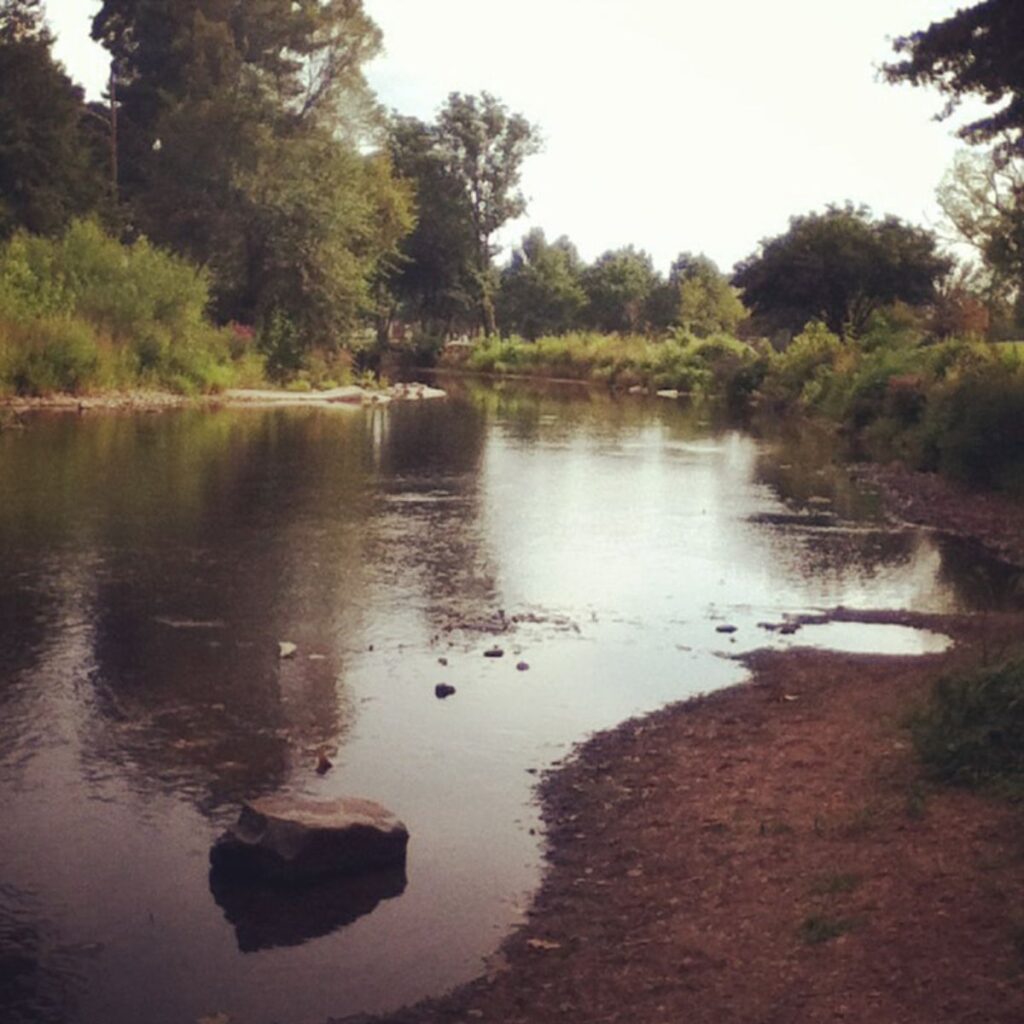 A serene river winds through a lush landscape, flanked by trees and bushes. The overcast sky reflects softly on the calm water, creating a tranquil scene.