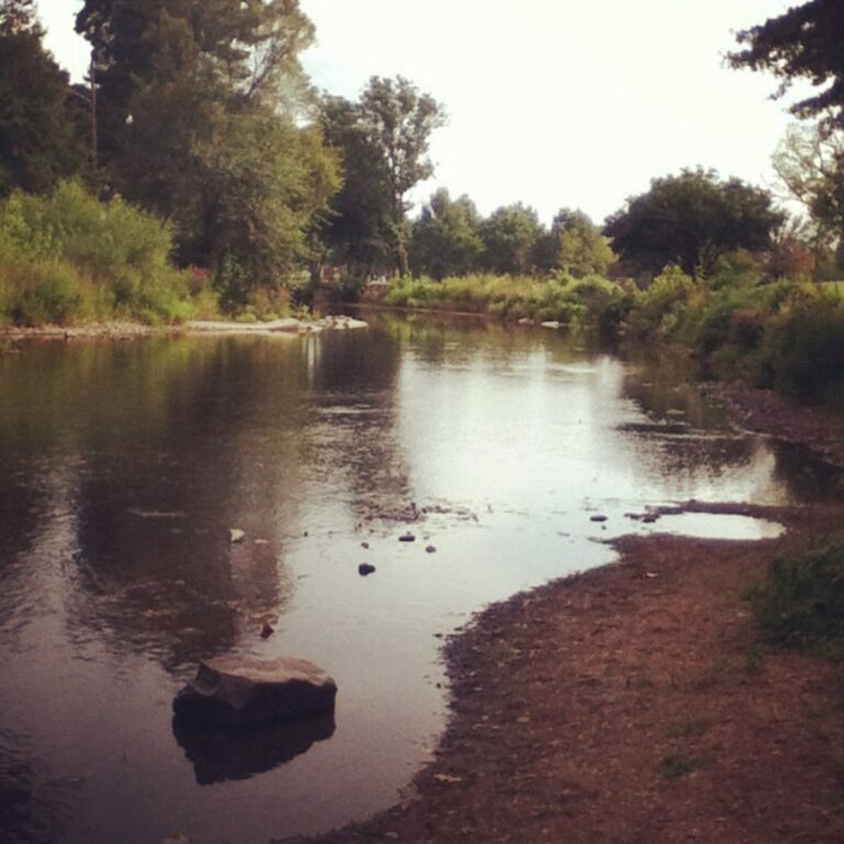 A serene river winds through a lush landscape, flanked by trees and bushes. The overcast sky reflects softly on the calm water, creating a tranquil scene.
