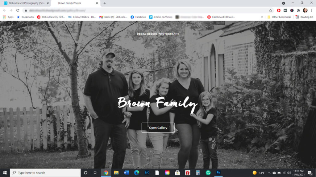 Debra Heschl Photography client gallery homepage with Open Gallery button.