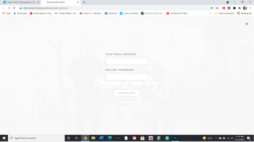 Client gallery login screen with email address and gallery password fields.