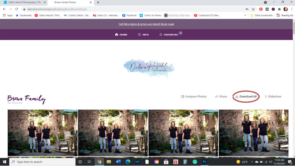Download All button highlighted in Debra Heschl Photography client gallery.