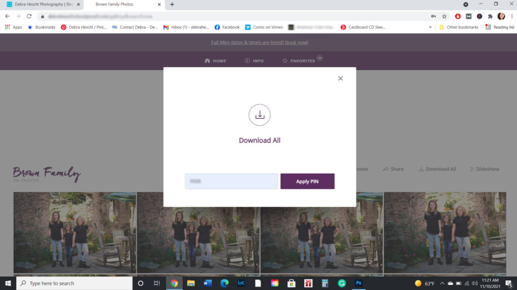 PIN entry field and Apply PIN button in client gallery download popup.